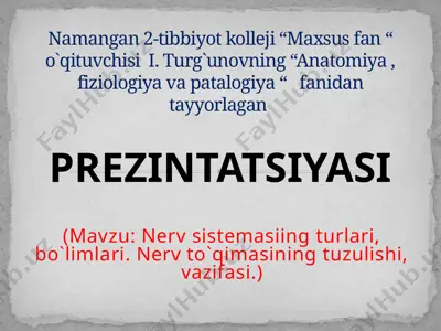 markaziy nerv tizimining umumiy fiziologiyasi prezintatsiyasi — PPTX