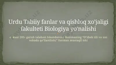 o‘zbek tili va uni sohada qo’llanilishi — PPTX
