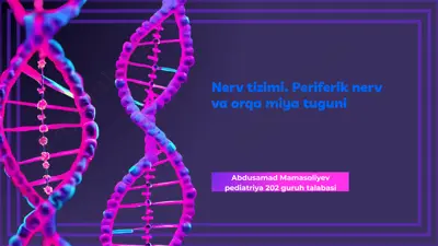 nerv tizimi. periferik nerv va orqa miya tuguni — PPTX