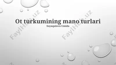 ot turkumining mano turlari — PPTX
