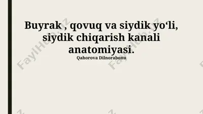 siydik pufagi anatomiyasi — PPTX