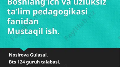 boshlang’ich va uzluksiz ta’lim pedagogikasi fanidan mustaqil ish. — PPTX