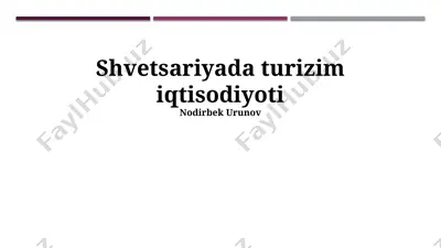 shvetsariyada turizim iqtisodiyoti — PPTX