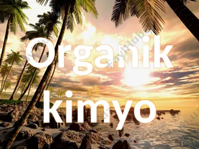 oksikislotalar — PPTX