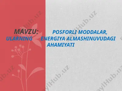 fosforli moddalar, ularning energiya almashinuvudagi ahamiyati — PPTX