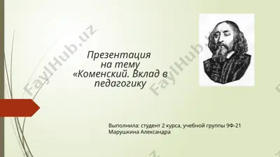 ян коменский. вклад в педагогику — PPTX