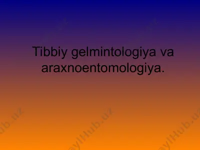 yassi chuvalchanglar gelmintologiya parazitlar — PPT