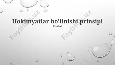hokimyatlar bo'linishi prinsipi — PPTX