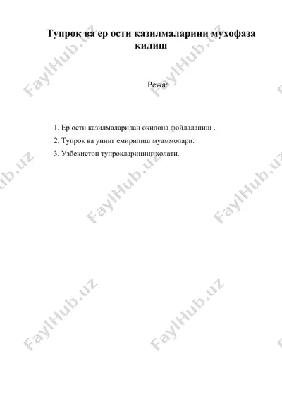 тупрок ва ер ости казилмаларини мухофаза килиш — DOC