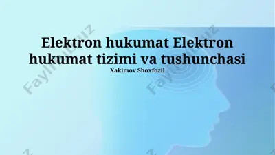 elektron hukumat tizimi va tushunchasi — PPTX