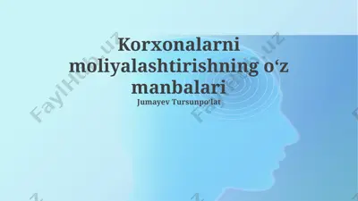 korxonalarni moliyalashtirishning oʻz manbalari — PPTX