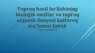 tuproq hosil bo‘lishining biologik omillar va tuproq organik dunyosi kattaroq maʼlumot kerak — PPTX