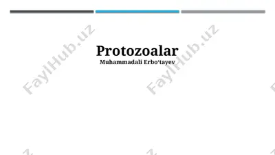 protozoalar — PPTX