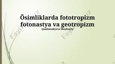 øsimliklarda fototropizm, fotonastiya va geotropizm — PPTX