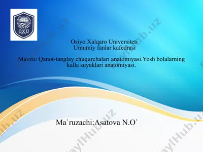 qanot-tanglay chuqurchalari anatomiyasi. yosh bolalarning kalla suyaklari anatomiyasi — PPTX