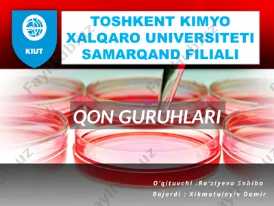 qon guruhlari — PPTX