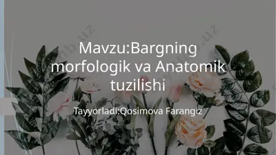 bargning morfologik va anatomik tuzilishi — PPTX