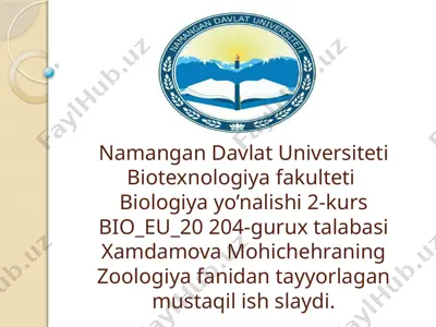 qushlarning uchishga moslashganlik belgilari va turli-tumanligi — PPTX