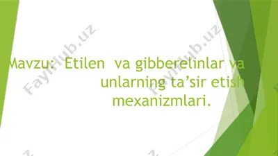 etilen va gibberelinlar va unlarning ta’sir etish mexanizmlari — PPTX