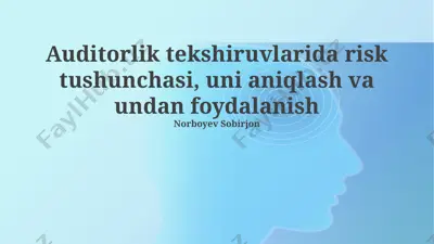 auditorlik tekshiruvlarida risk tushunchasi, uni aniqlash va undan foydalanish — PPTX