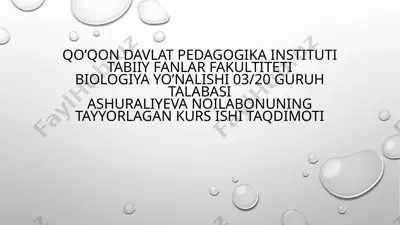 qishloq xo'jaligi ekinlarining sug'orishni fiziologik asoslari — PPTX