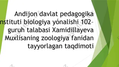 xamidillayeva muxlisaning zoologiya fanidan tayyorlagan taqdimoti — PPTX