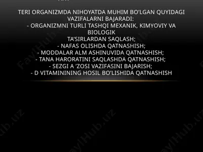 teri va uning muhim vazifalari — PPTX