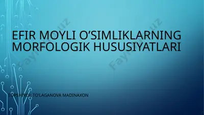efir moyli o’simliklarning morfologik hususiyatlari — PPTX