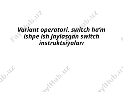 switch instruksiya sintaksi — PPTX