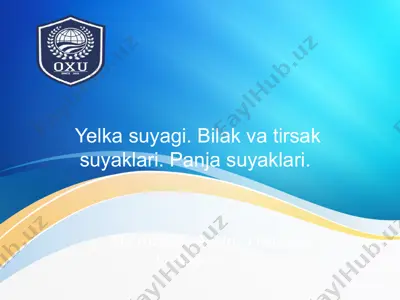 yelka suyagi — PPTX