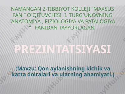 yurakdagi elektr hodisalar — PPTX