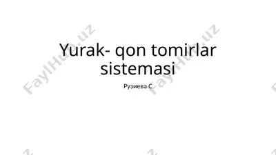 yurak- qon tomirlar sistemasi — PPTX