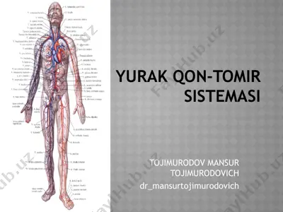 yurak qon-tomir tizimi — PPTX