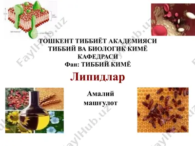 липидлар — PPTX