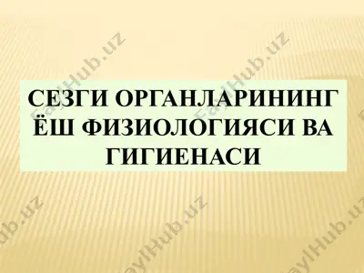 sеzgi organlarining yosh fiziologiyasi va gigienasi — PPTX