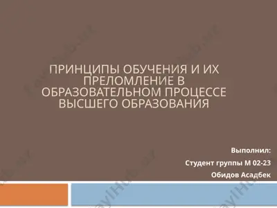 принципы обучения и их преломление в образовательном процессе высшего образования — PPTX