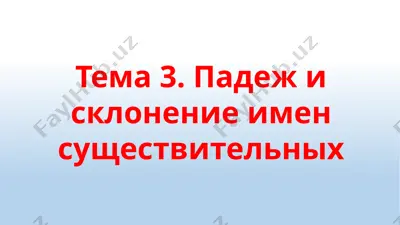 падеж и склонение имен существительных — PPTX