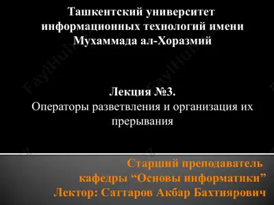операторы разветвления и организация их прерывания — PPTX