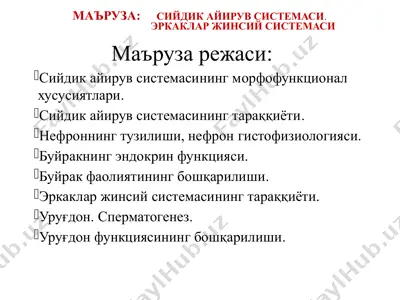 сийдик айирув системаси — PPTX