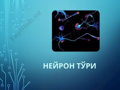 нейрон тўри — PPTX