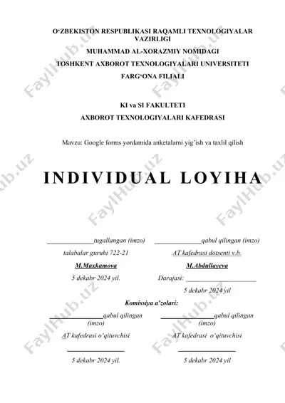 individual loyiha ishi — DOCX