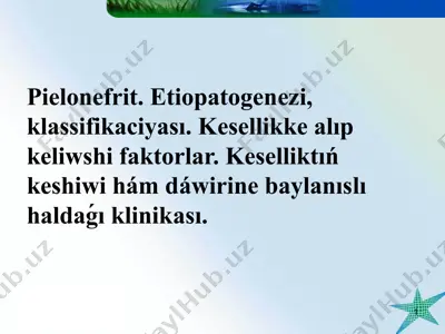 pielonefrit — PPT