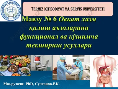 ovqat xazm qilish a'zolari funktsional va qo'shimcha tekshirish usullari — PPT