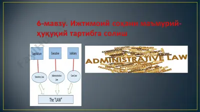 ижтимоий соҳани маъмурий-ҳуқуқий тартибга солиш тушунчаси ва турлари — PPT