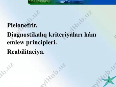 pielonefrit — PPT