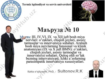 mavzu: iii, iv, vi, ix va xii juft bosh miya nervlari: o‘zaklari, chiqish joylari, asosiy tarmoqlar va innervatsiya sohalari. aralash bosh miya nervlarning funsional va klinik anatomiyasi (ix va x juft bmn): o‘zaklari, chiqish joylari, asosiy tarmoqlar va innervatsiya sohalari. quloq oldi so‘lak bezning innervatsiyasi. ichki a’zolarning parasimpatik innervatsiya xususiyatlari. — PPT