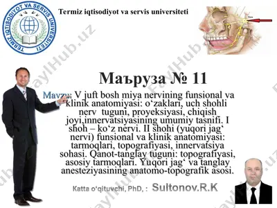 v juft bosh miya nervining funsional va klinik anatomiyasi — PPT