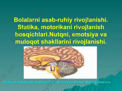 bolalarni asab-ruhiy rivojlanishi — PPT