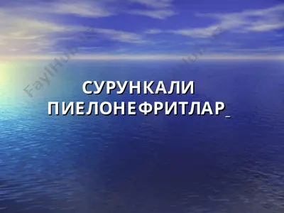 пиелонефритлар — PPT