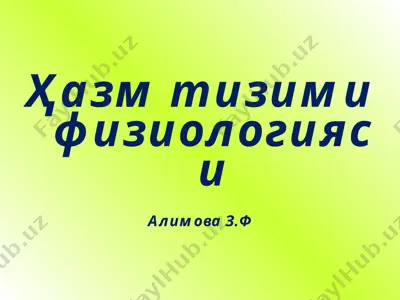 ҳазм тизими физиологияси — PPT